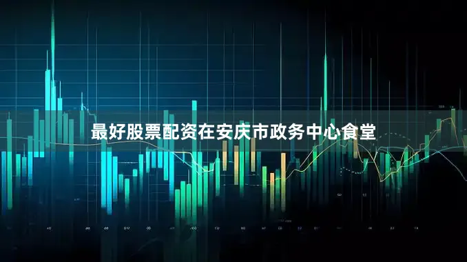 最好股票配资在安庆市政务中心食堂