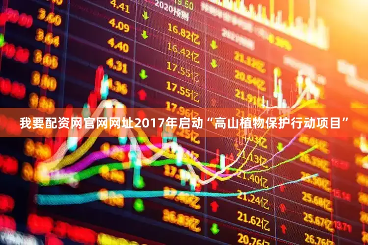 我要配资网官网网址2017年启动“高山植物保护行动项目”